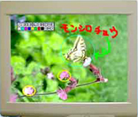 転送中の画面に描画するマーキング機能